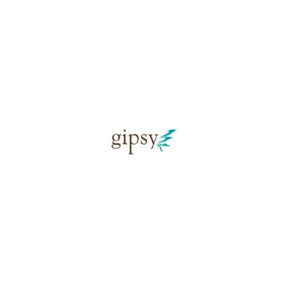 The profile picture for gipsy online